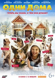 Одни дома / Pups Alone