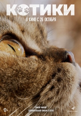 Котики / Cat Daddies