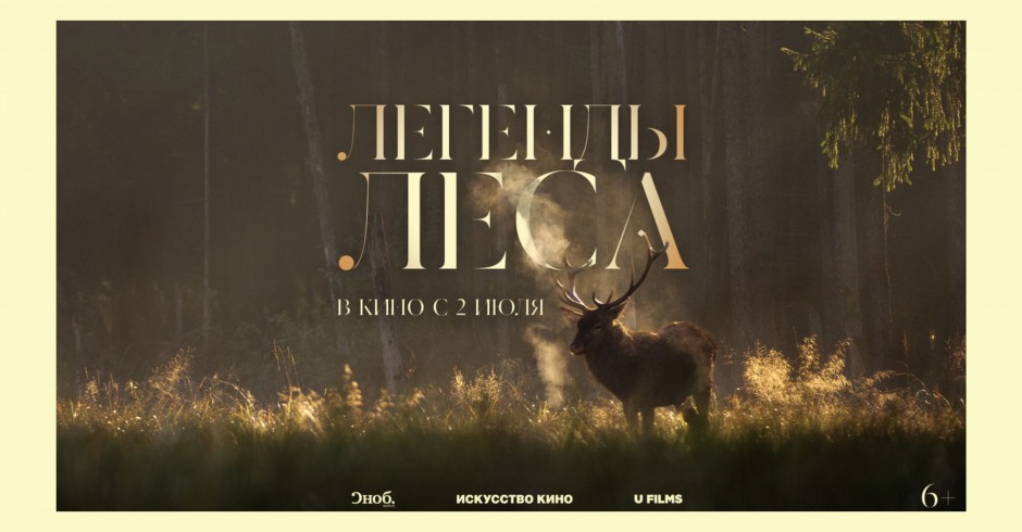 Легенды леса